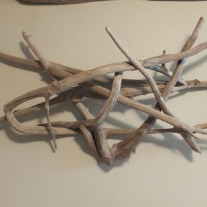 Wall Art 5