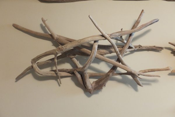 Wall Art 5