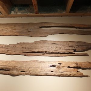 Medium - Large Wall Pieces