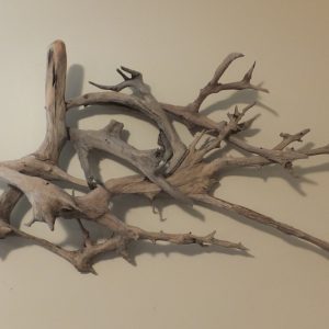 Wall Art 4