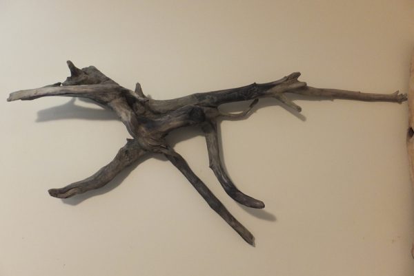 Wall Art 7