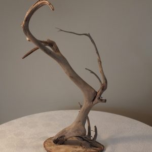 Sculpture 21
